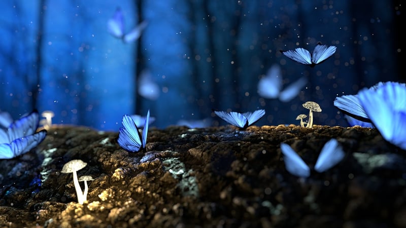 Enchanted Edens