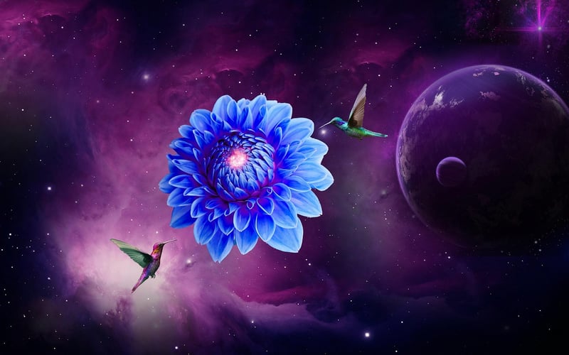 Imaginary Flowers
