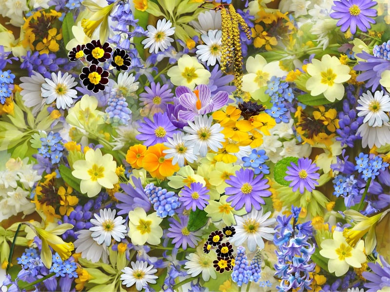 Pressed Flowers