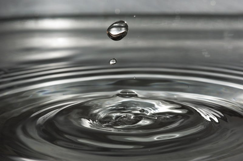 Water Feature